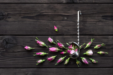 Fragrant rosehip buds and retro tea strainer on a dark wooden board. Freshly harvested. Composition of fresh rosehip flowers with copy space for text. Making aromatic tea. Top view. © KashtykiNata