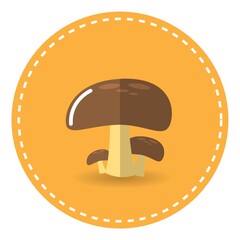 mushrooms