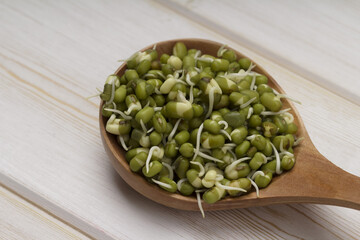 Sprouted mung beans in wooden spoon. Close up view .