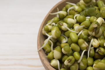 Sprouted mungbeans in a wooden bowl . Macro shot. Concept of microgreen