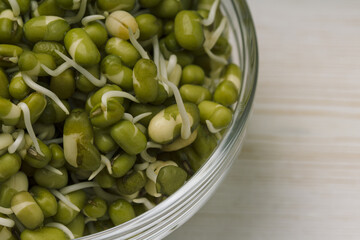 sprouts of mung beans in a glass bowl on the table close-up. Sprouts macro