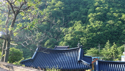 gazebo in the park