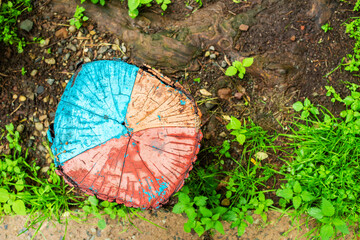 Colored stump on a background of ground and grass. Top view. Copy space. Creative concept.