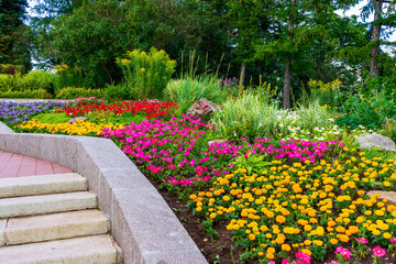 Obraz premium Beautiful landscape design in public garden in summer sunny evening. Decorative plants and stones at flower bed in city park. Harmonious surrounding space concept