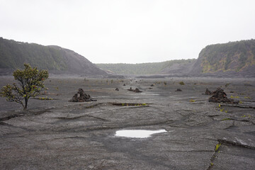The floor of the solidified Kīlauea Iki Crater lava lake in Hawaii Volcanoes National Park on a rainy day. © Tada Images