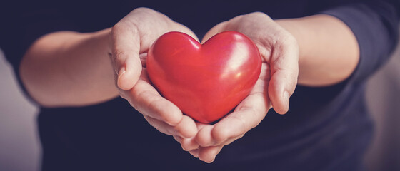 Woman holding red heart, health insurance, donation, happy charity volunteer concept, world mental...