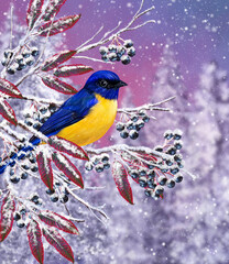 Christmas winter background, a small bird tit sits on a snowy branch, berries, foliage, sunset, blizzard.