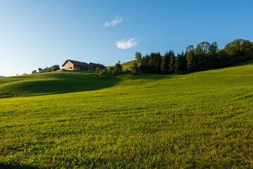 Fototapeta na wymiar Summer in the fields of Austria in the sunset Austria