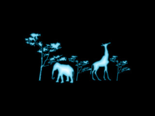Wildlife safari.