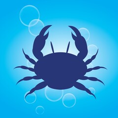 silhouette of crab