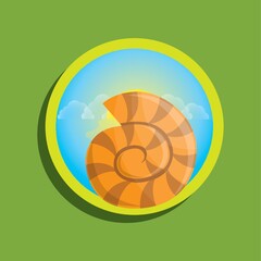 Obraz premium seashell