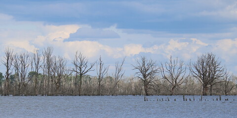 Naturschutzgebiet Galenbecker See Vern&auml;ssungszone