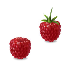 Vector illustration of a set of realistic red raspberries on a white isolated background.