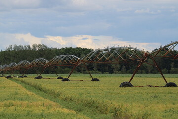 Beregnungsanlage auf einem Feld während der Trockenperiode