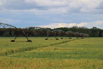 Beregnungsanlage auf einem Feld in der Trockenzeit