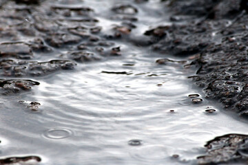 rainy water fill in a small pond