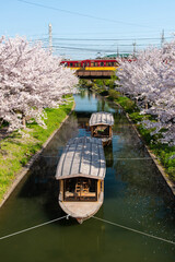 桜と船と通過する電車