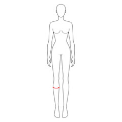 Women to do calf measurement fashion Illustration for size chart. 7.5 head size girl for site or online shop. Human body infographic template for clothes. 