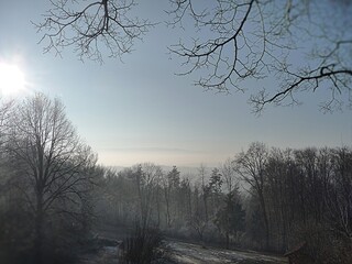 Eine nebelige Winterlandschaft in der Morgensonne.