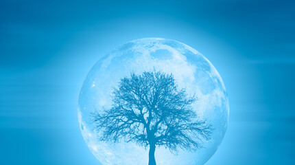 Beautiful landscape with lone tree full moon in the background  "Elements of this image furnished by NASA"