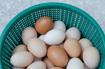 Eggs in the Plastic Basket.