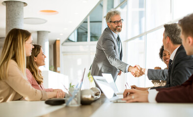 Mature businessman explaining strategy to group of multiethnic business people while working on new project