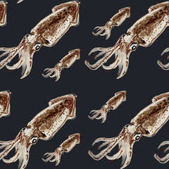 squid pattern, ideal footage for themes such as Mediterranean cuisine, fishing and maritime environment