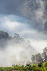 Amazing mist moving over the nature mountains during sunrise at mountains area in Thailand.