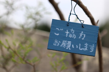 枝に飾る伝言板ご協力お願いします。右寄り小さめ
Thank you for your cooperation. Message board written in Japanese. Rightward and small.