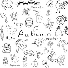 Vector illustration of an autumn set in the Doodle style. Black outline on an isolated white background. Umbrella, sweater, hat, animals, leaves, Cup, fire, mushrooms, pie, Apple, sunflower, bird