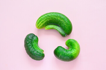 Trendy ugly vegetables. Fresh ugly cucumbers on pink background. Imperfect food Non-standard, funny...