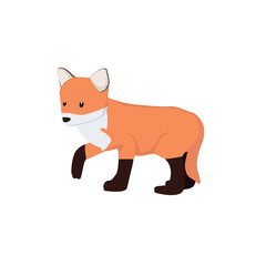 Obraz premium Fox Illustration