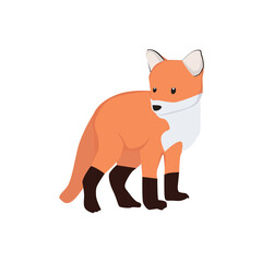 Fox Illustration