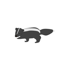 Skunk Illustration
