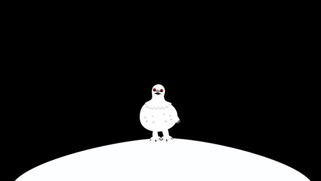 雷鳥（lagopus muta）Template