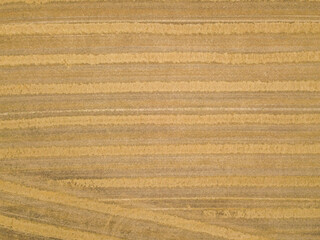 Aerial view of harvested wheat field in rural agriculture area in Switzerland. © Mario