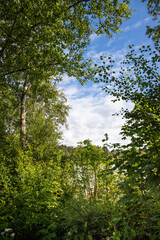 Lake summer norway