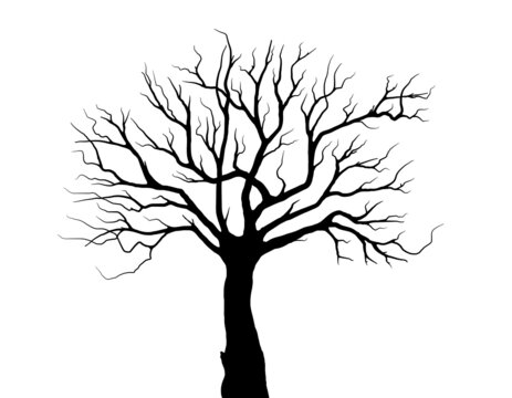 black tree silhouette Symbol style.and white background.Can be used for your work.