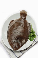 Raw whole flounder or turbot fish with parsley on a white plate isolated on white background