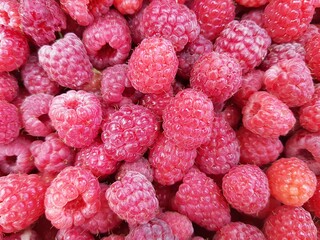 red raspberries background