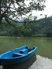 Blue boat on the lake. surrounded by trees.