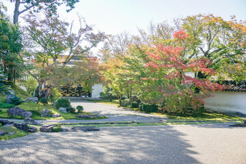京都　三宝院