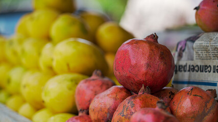 Pomegranate with yellow mangoes in the background