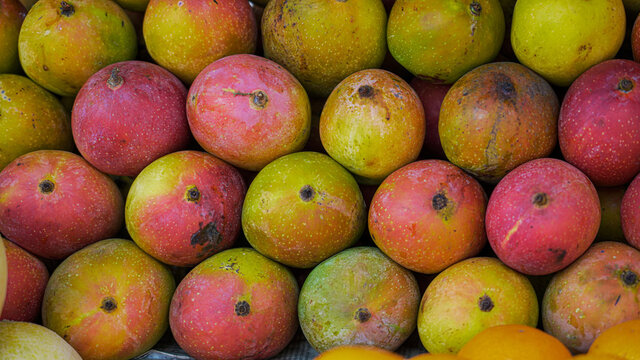 Fresh mangoes selling in a fruit shop