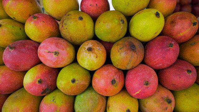 Heap of fresh ripe mangoes in a market, close up