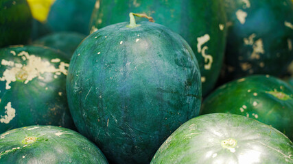 Closeup of fresh juicy green watermelon