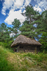 Fototapeta na wymiar Wooden cabin in the woods, wild nature, countryside
