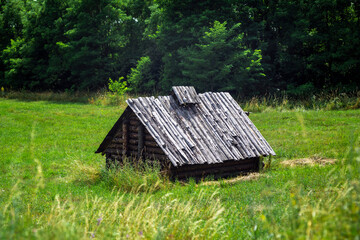 Wooden cabin in the woods, wild nature, countryside