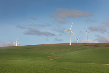Power generating wind turbines in an agricultural field in South Africa.