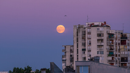 moon over city © Bruno